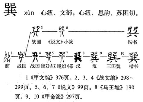 巽|巽（汉语汉字）